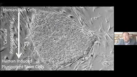 MGH: Discovering the Therapeutic Potential of Psychoactive Plants