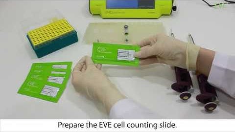 Automatic Cell Counter, EVE™