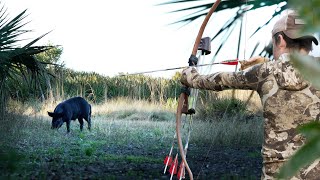 UP CLOSE Ground Hunting Hogs - Recurves and Self BOWS! by Clay Hayes 55,069 views 2 months ago 18 minutes