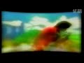 TOKIO「うわさのキッス」MUSIC VIDEO