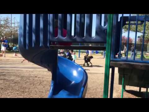 camera iphone 8 plus apk So fast