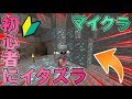 【マインクラフト】マイクラ初心者にイタズラしてみたｗｗｗ