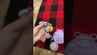 Fidget trading with my dog 🐶