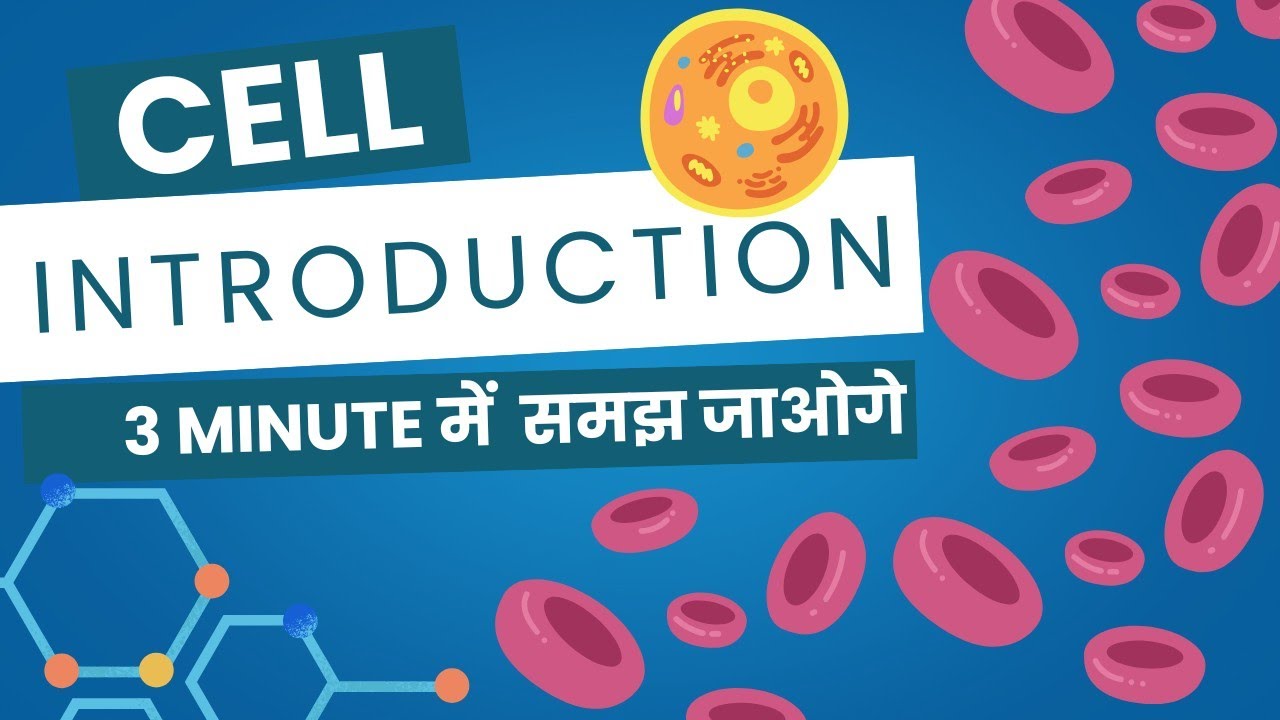 What is a Cell? The Building Block of Life Simplified Unlock the ...