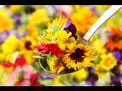 How to Plant and Grow Calendula