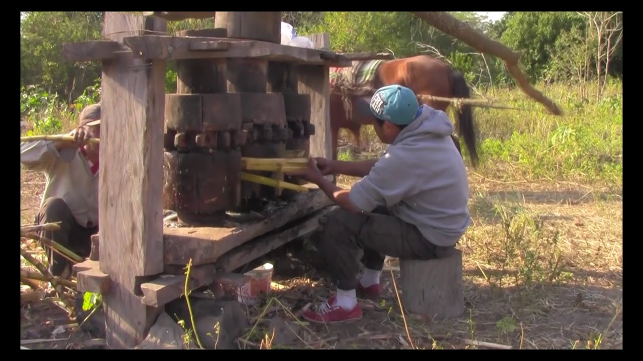 DON ROJAS video editing software free