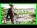 Farm tour  le talus  marseille