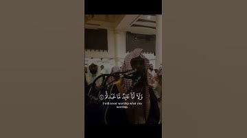 سورة الكافرون بصوت الشيخ محمد اللحيدان #محمد_اللحيدان
