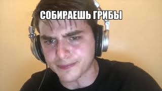 Лес би лайк: