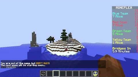 hacker in mineplex bridges!!!