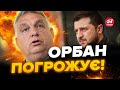 😳Скандал! ОРБАН ШОКУВАВ заявою про Україну / Що ЛЯПНУВ?