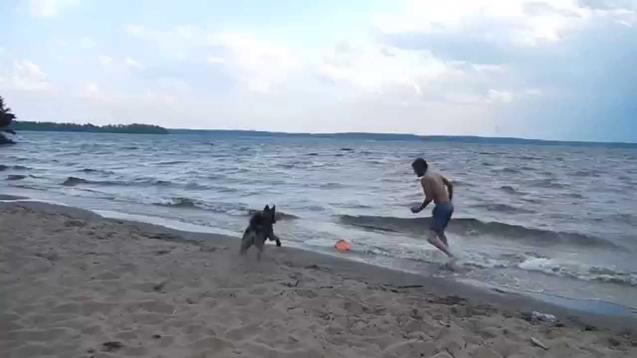 Treeplanting 2014: 47/47