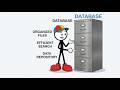 What Is a Database? The Filing Cabinet Analogy (Explained Simply)