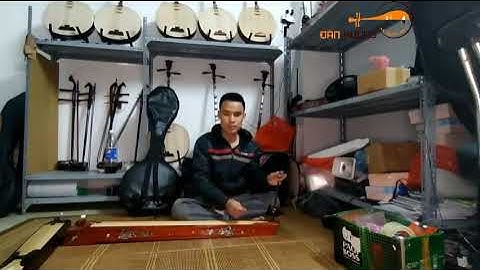 So Sánh Đàn Bầu DB59 - 590.000 đ và Đàn Bầu DB129 1.290.000 đ