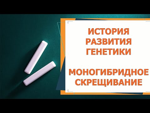 Генетика. Часть 1.  Моногибридное скрещивание