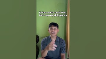 Coba spil pengalaman kalian main ikan cupang nanti kalo menarik kita buat konten #shrots #lucu