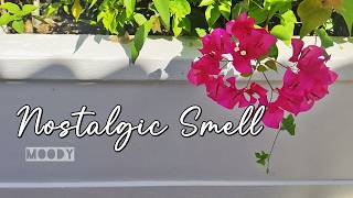 Nostalgic Smell – Moody | Lyrics Video (Romantic Adult Contemporary Ballad)