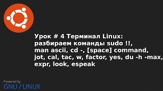 Видео урок 4   Терминал Linux команды: sudo !!,man,cd  ,jot,cal,tac,w,yes,du,expr,look,espeak