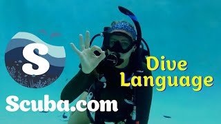 Dive Language