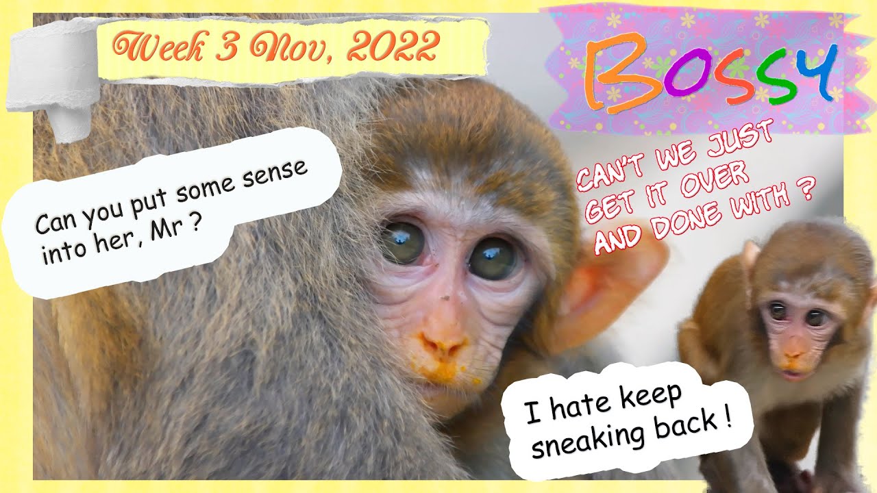 2 Babies Weaning II He s Taking It Too Far YouTube 2-babies-weaning-ii-he-s-taking-it-too-far-youtube