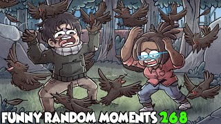 That is a lot of Birds! (DbD #268)