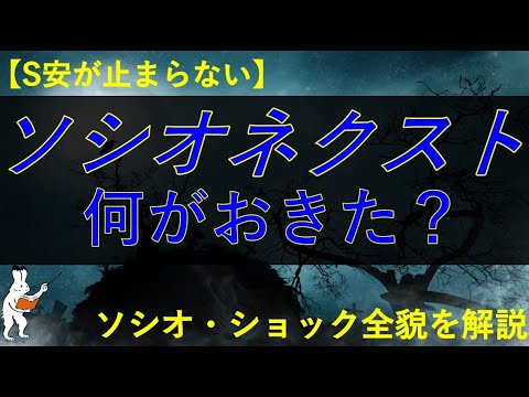【ソシオ・ショック】ソシオネクストがS安。全貌と今後の動向を解説