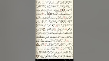 ماهر المعيقلي سورة الرعد مكتوبة صفحة 251 مصحف المدينة المنورة جودة عالية