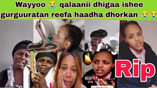 Download lagu Wayyoo 😭 qaalanii dhigaa ishee gurguuraanii jawwee obaasan 