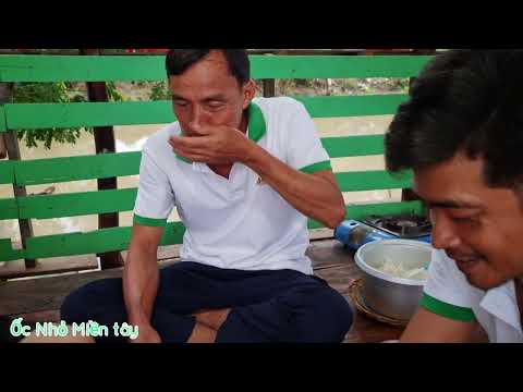 Video Rắn Xào Sả Ớt Xúc Bánh Đa Ngon Hết Sảy Con Bà7... - youtube