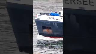 #ship #shipping #shipspotting on the #rhine #ships #cargoship #containership #tanker #rhein #traffic
