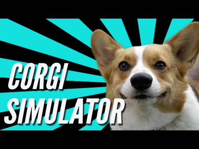 Corgi Dog Simulator – Apps on Google Play