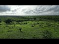 Fazenda o 20 -2