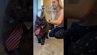 Pink Tie For Valentines Day