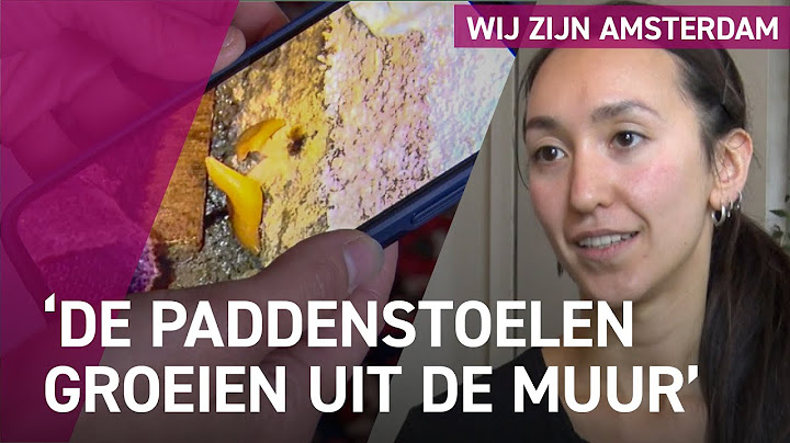 Plafond vol schimmel: wat zijn je rechten als huurder?