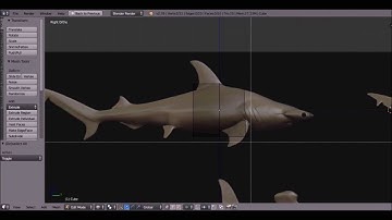 Blender 3D, Modelling a Hammerhead Shark - Time-lapse