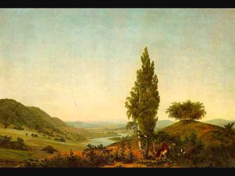 Beethoven - Symphony #6: 1. Allegro ma non troppo