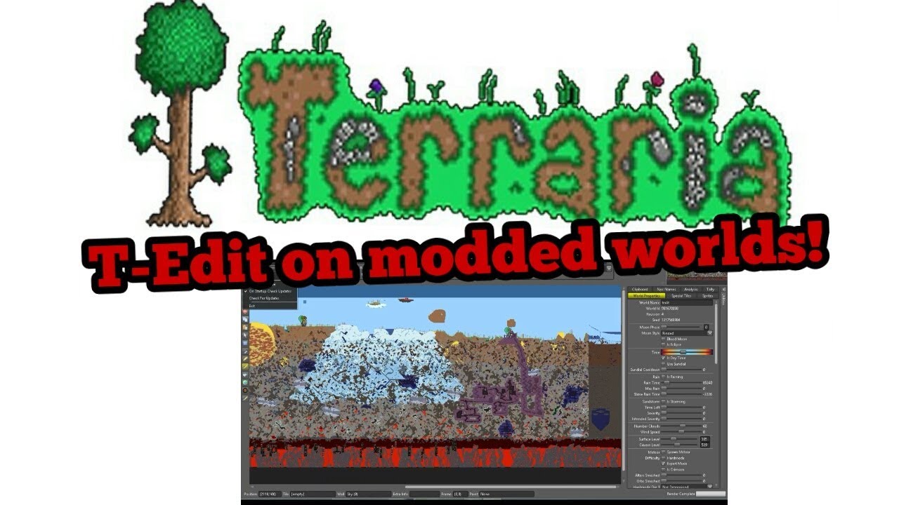 how to editor modded terraria character