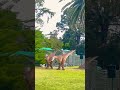 #children #schoolholidays #dinosaur #activityforkids