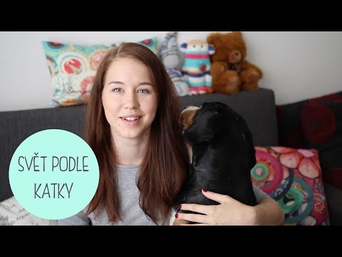 Video: Jak Přesvědčit Matku, Aby Si Pořídila Psa