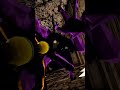 spirits wake up!!!!!!!#animalcompany #vr #fun