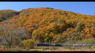 中央西線  木曽路のEF64  2022年 紅葉 秋 【5.7K/4K60P】