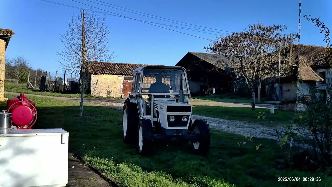 lamborghini 603 dt adieu les ronces