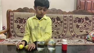 Lemon experiment for kids, Density experiment, Float and sink experiment| #scienceexperiment #viral