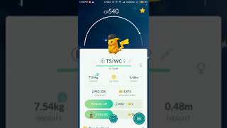 Shiny Fragment Hat Pikachu & Raichu - Pokemon Go