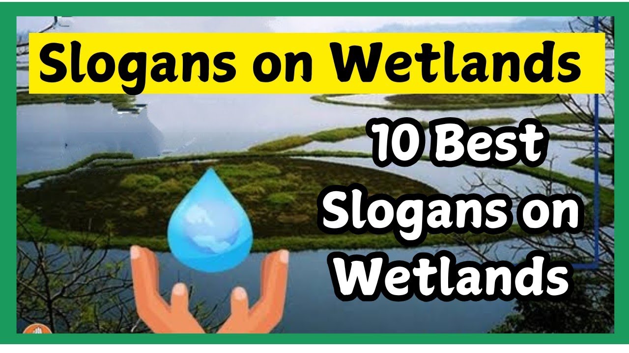 Save Slogans on Wetlands/Wetland Day Poster words/World Wetland Day 2025/Save wetlands