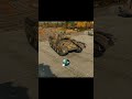 🇩🇪 German Quartet Lineup | War Thunder Showcase
