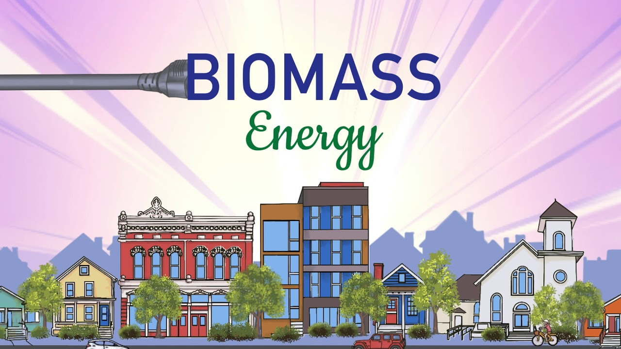 Which Example Is A Biomass Energy Source?