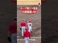 広島カープ辰見鴻之介が紅白戦で2盗塁!#辰見鴻之介 #盗塁 #カープ