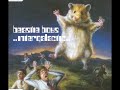 Hail Sagan (Special K) feat. Miho Hatori - Beastie Boys