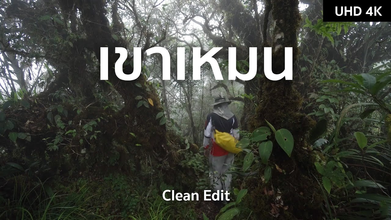 เขาเหมน อุทยานแห่งชาติน้ำตกโยง จ.นครศรีธรรมราช | ตากล้องสายเที่ยว